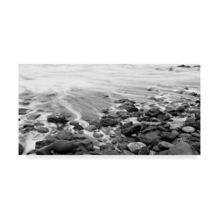 Chris Moyer 'Changing Tide' Canvas Art,16x32